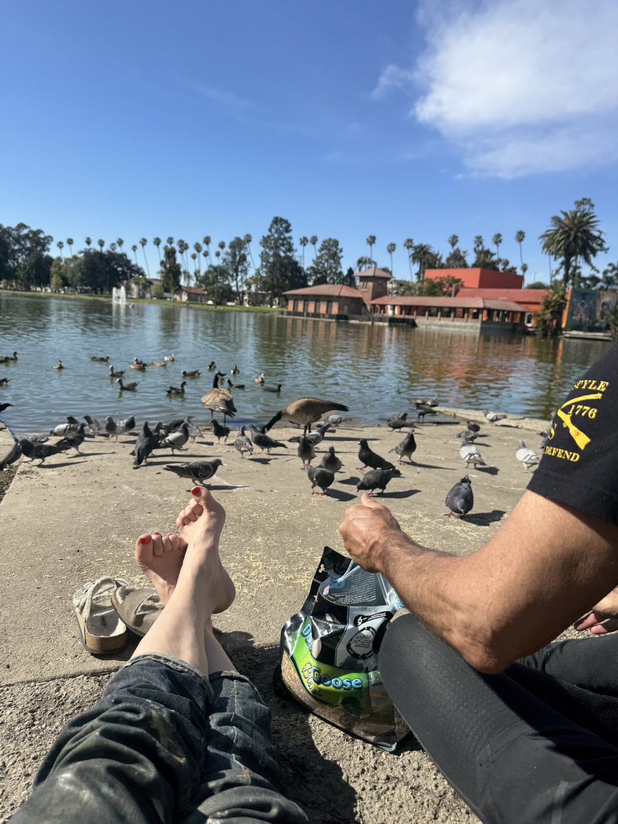 A blissful morning in LA, feeding the ducks and birds.