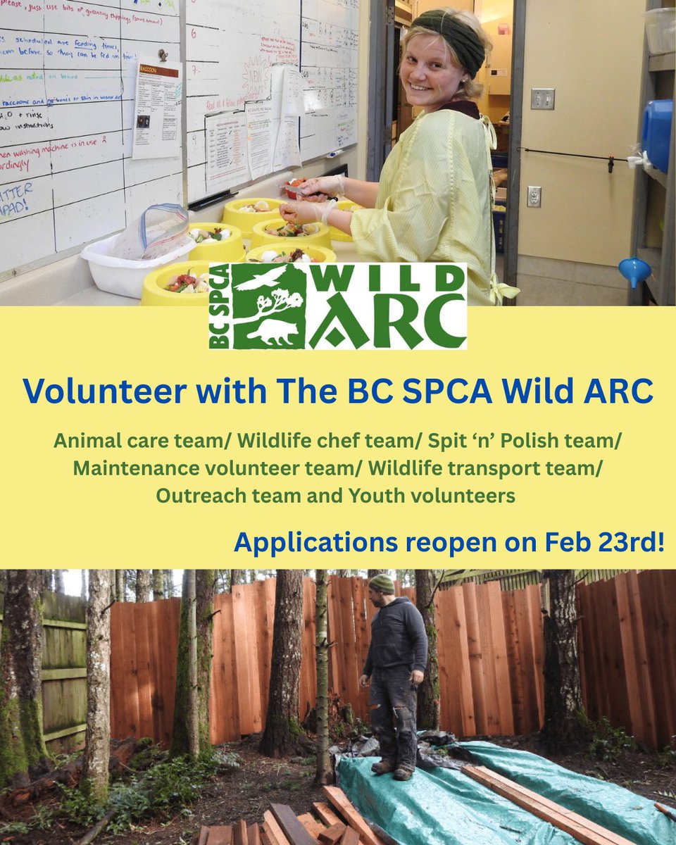 Volunteer Victoria tweet media