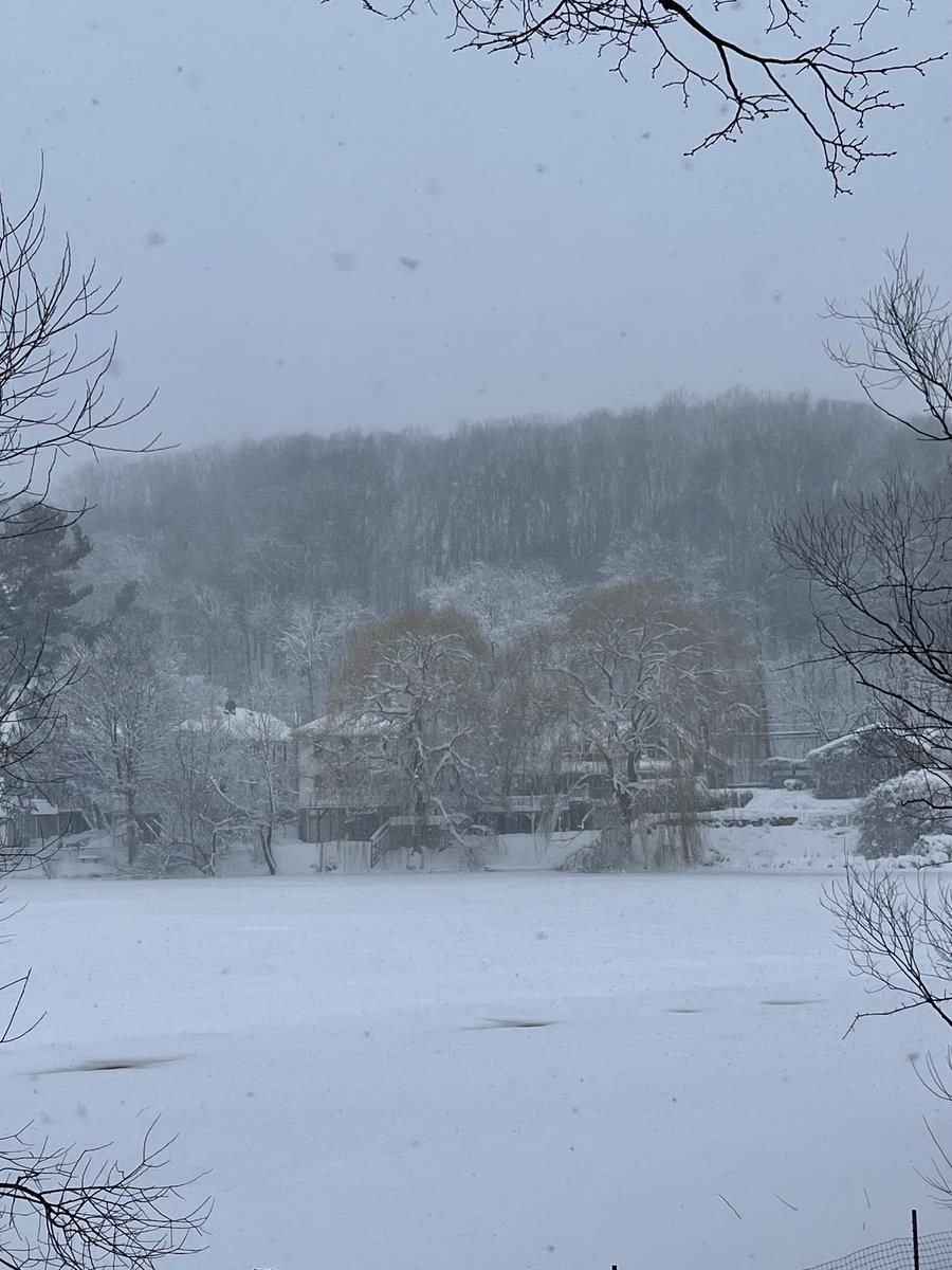 peterbirckhead's tweet photo. I went for a walk around Chandler Pond. Blizzarding! https://t.co/kizcRST9BT
