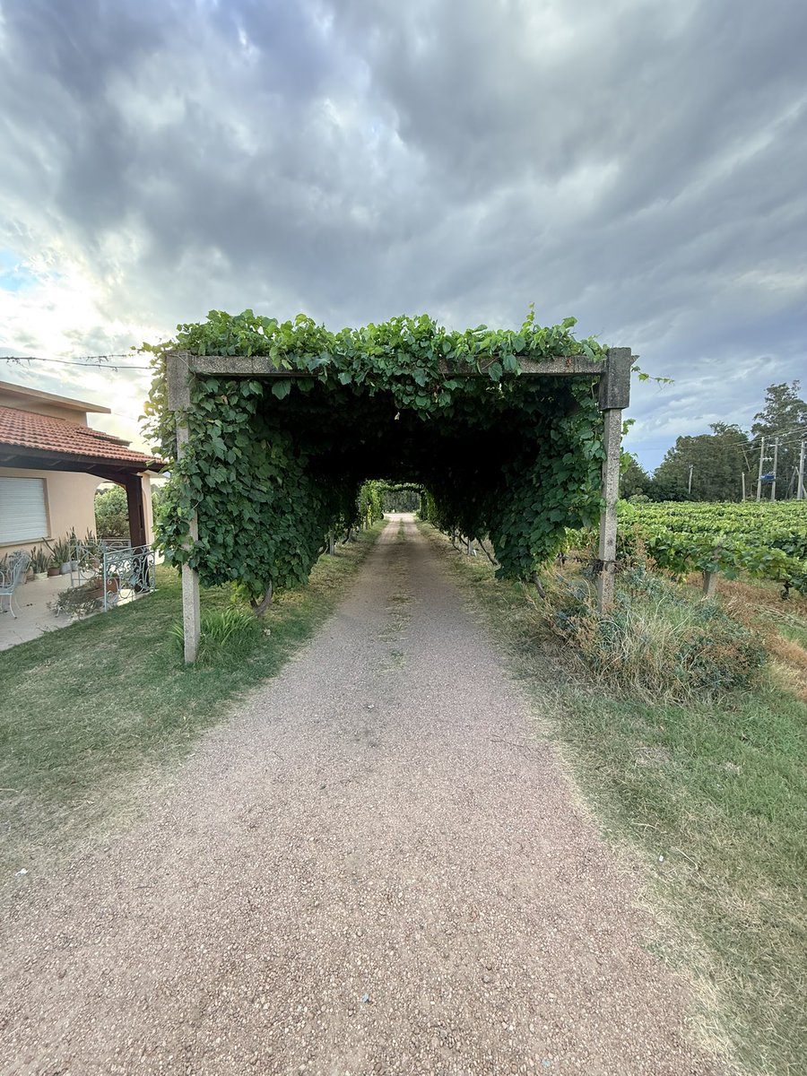 Nos vinimos a Melilla al Camino Senda de Paso. Vecinos pidiendo luz en su calle. 20 familias de productores que no quieren vivir en una boca de lobo .
Siempre en el camino nunca en la posada 🚜🫶🏽