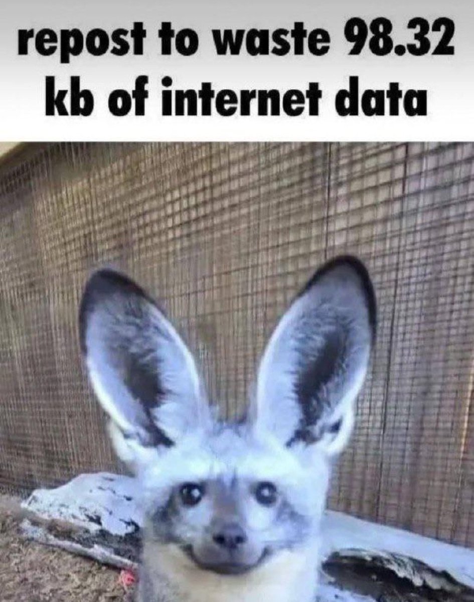 stupid glaggle (@videoslop) on Twitter photo 