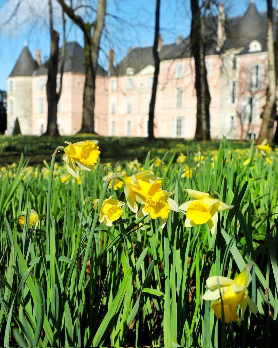 🔵 𝗡𝗼𝘂𝘃𝗲𝗹𝗹𝗲 𝘀𝗲𝗺𝗮𝗶𝗻𝗲 ! 🌼
Demain, le château de Meung-sur-Loire rouvre ses portes pour une nouvelle semaine... printanière cette fois ! Du soleil, des jonquilles et toujours de jolis sourires ! 🌞 #AvecMesEnfanfs #EnFamille #VacancesEnFamille