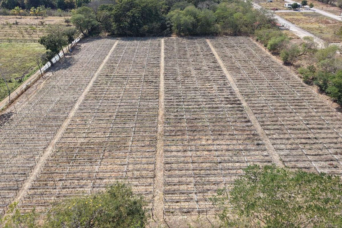 ¡Cuidar la tierra es cuidar el futuro!

Presentamos el Programa de Restauración y Saneamiento de Microcuencas de la Nueva ERA en Chiapas, con una inversión de 200 millones de pesos, y realizamos un recorrido por el Vivero “La Primavera” de la SEMAHN para supervisar la producción