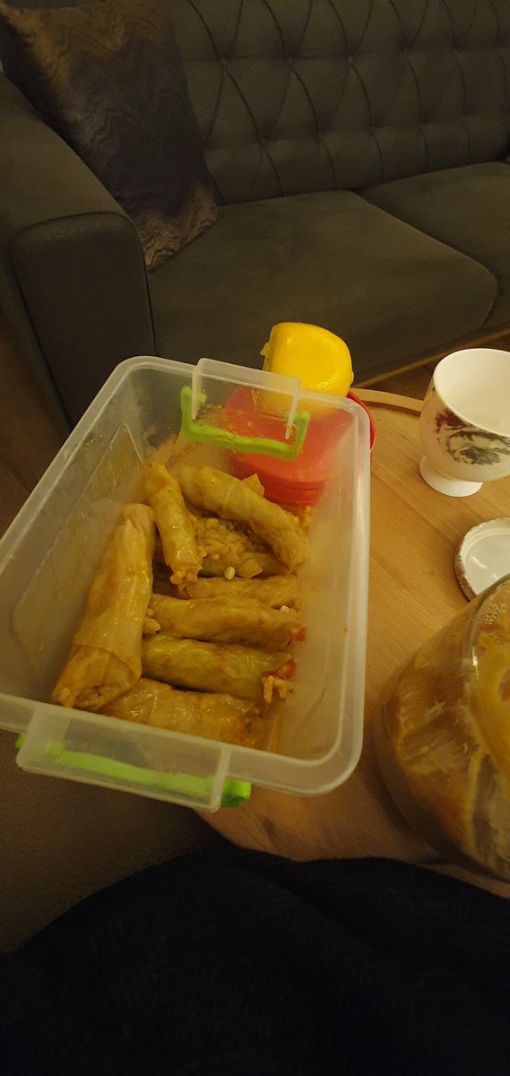 Keyiften ekmek teknesi kirli gibi bi koca tencere sarmayı mideye indirdim