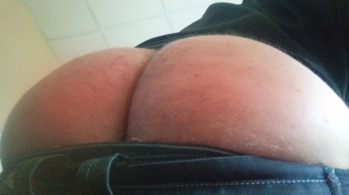 Kai Lionbear 🌺 tweet media