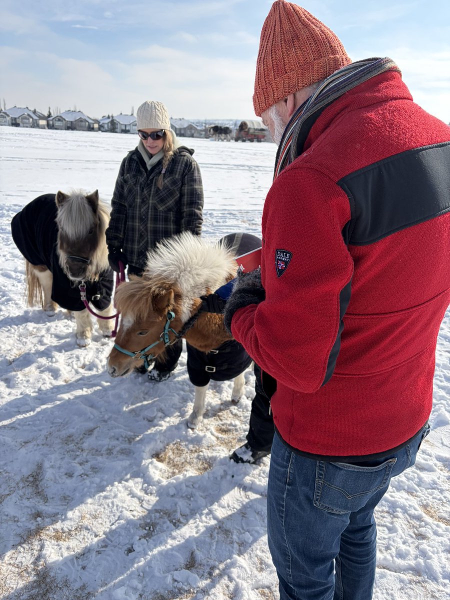 CourtEllingson's tweet photo. It was wonderful to celebrate the 8th Annual Winter Festival with the Kincora Community Association!
Even though it was chilly, there was lots of great conversations about supporting the community, and of course adorable animals!
#ableg #abpoli #yyc #CalgaryFoothills https://t.co/csD4i2N7rt