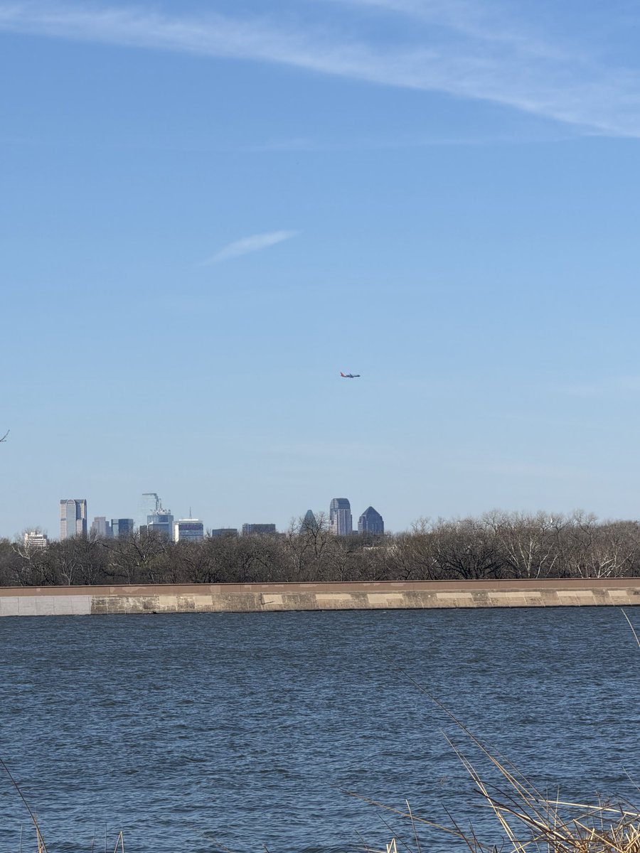 DAL Plane Spotting tweet media