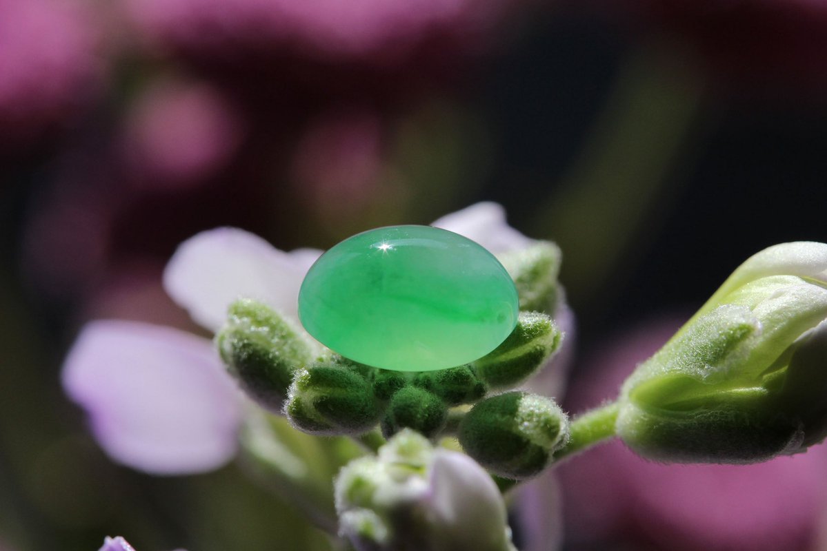 翡翠 ひすい 翠の季節✨