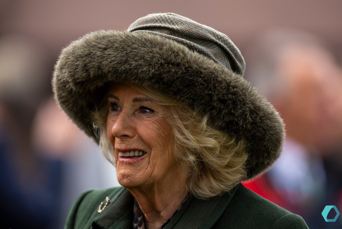 steven paston tweet media