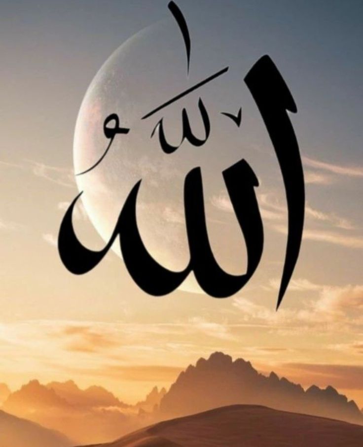 Allah’ım ! Kalbimi Sana yönelt,
beni Sana yaklaştır. Seni sevmeyi,
Sana güvenmeyi ve Sana lâyık bir kul olmayı nasip et.Kalbimi gafletten uyandır, kalbimi nurunla doldur.
Yalnız kaldığımda Seni hatırlayan, nimet gördüğümde Sana şükreden, zorlandığımda Sana sığınanlardan eyle 🤲🤲