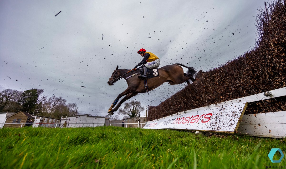 steven paston tweet media