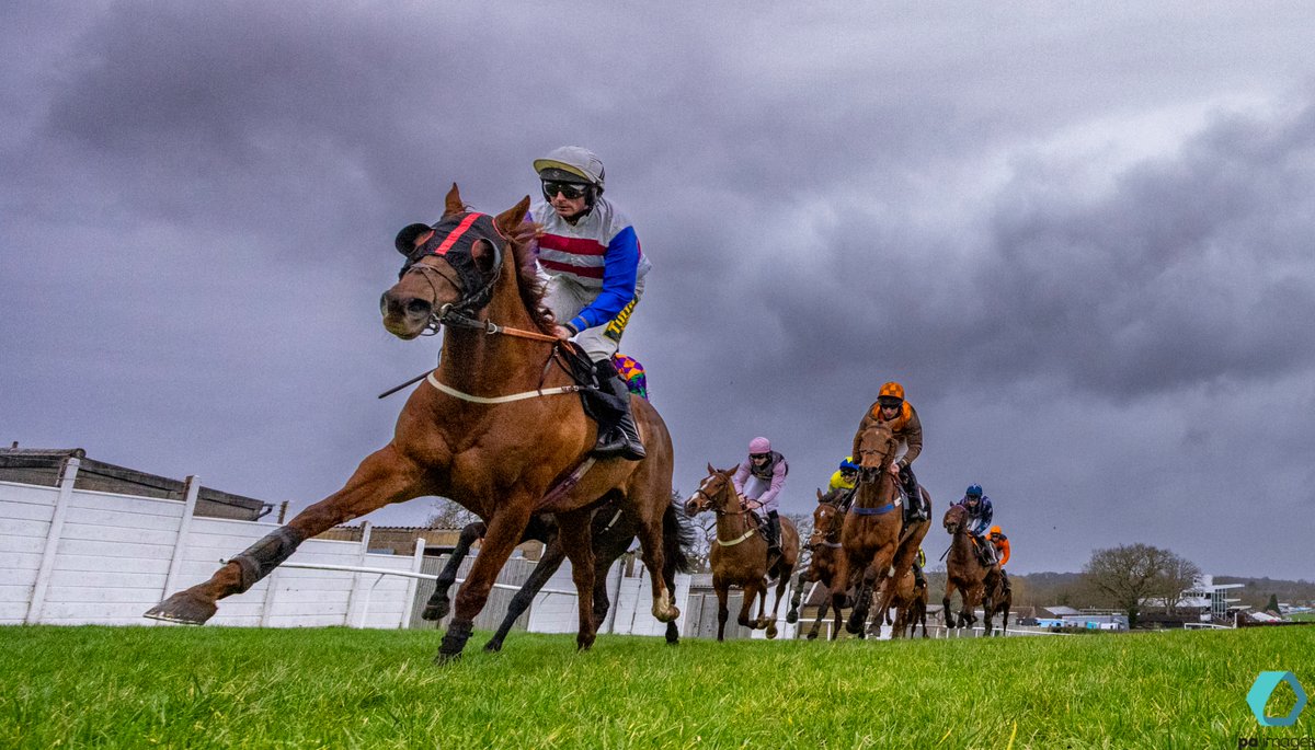 steven paston tweet media