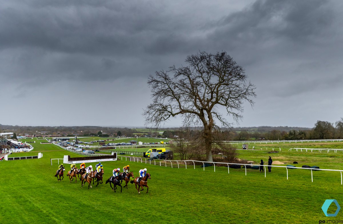 steven paston tweet media