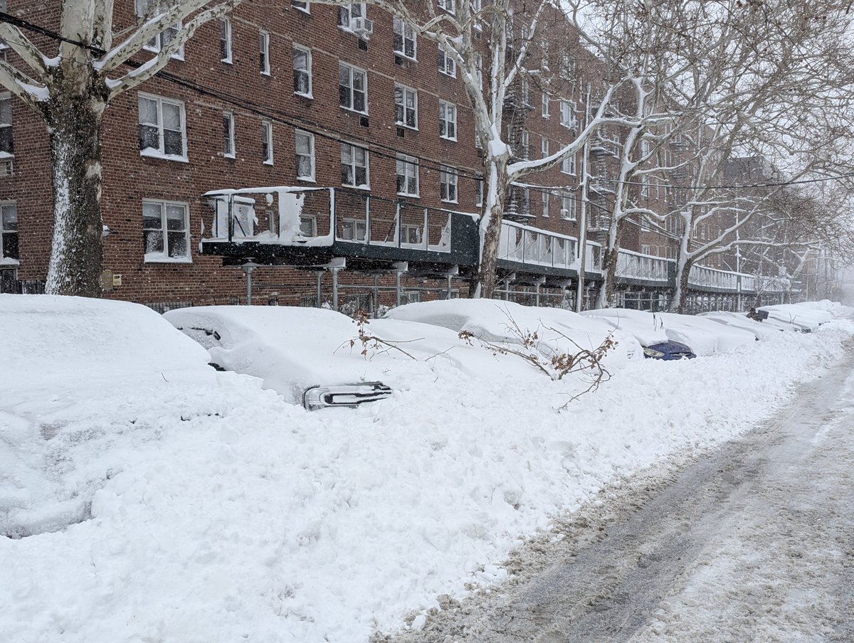 Rachel Luxemburg tweet media