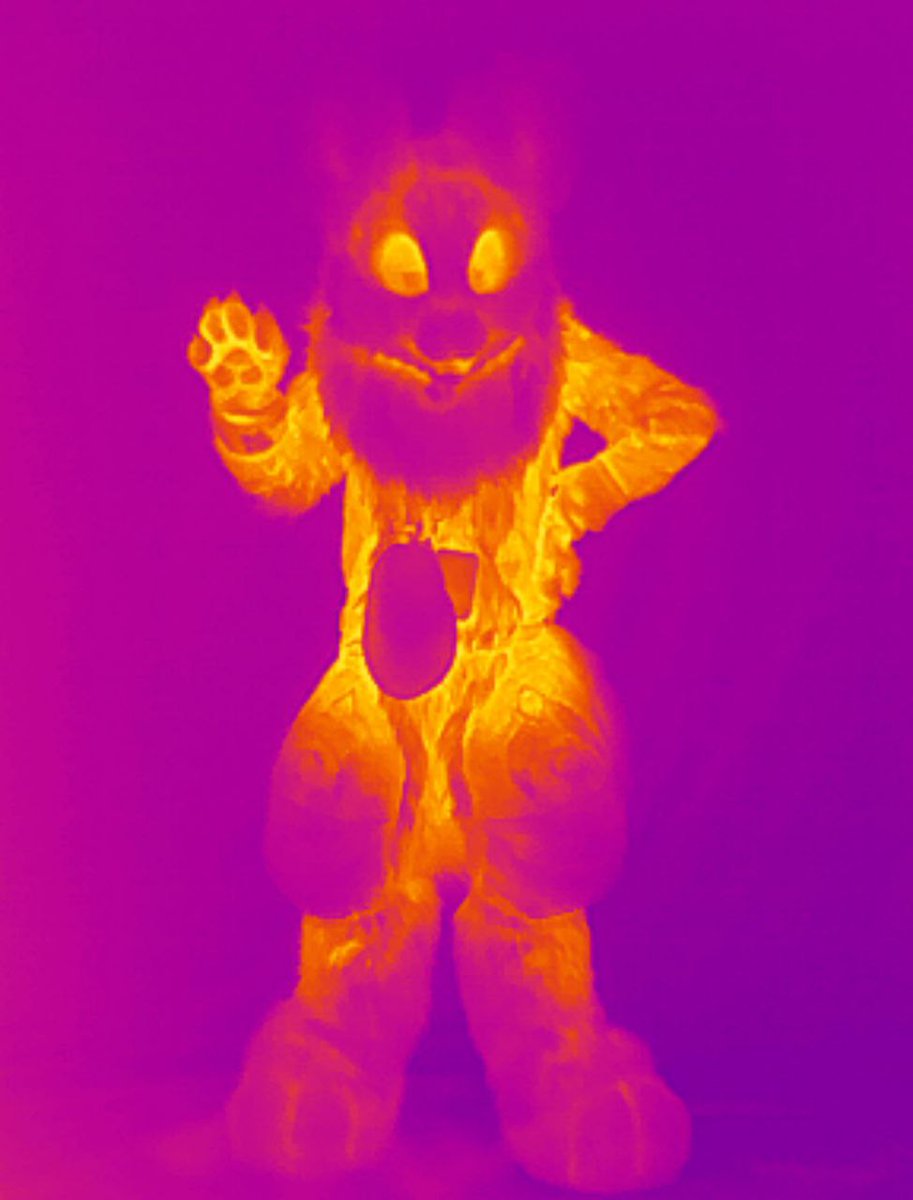 Orion Kitsune tweet media