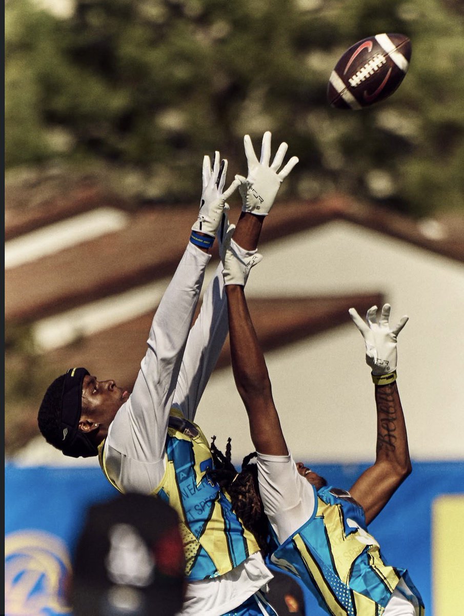 Jayden Harris tweet media