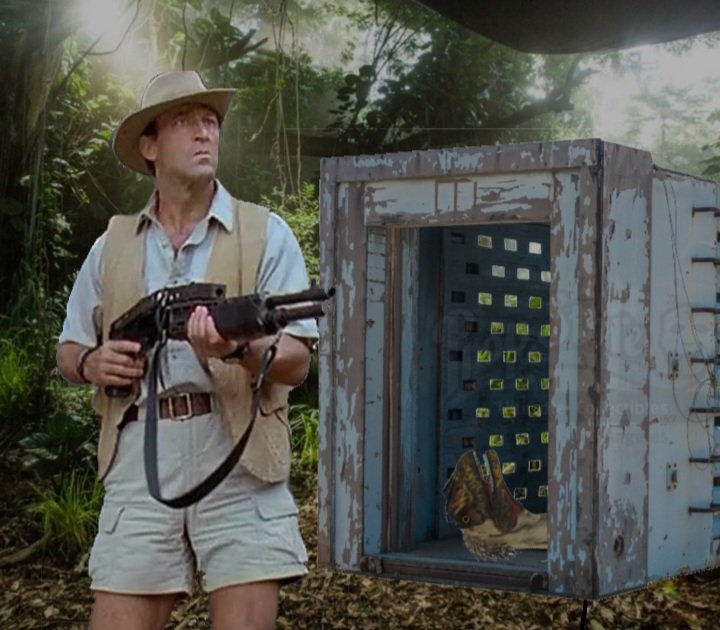 Muldoon & Henry Wu tweet media