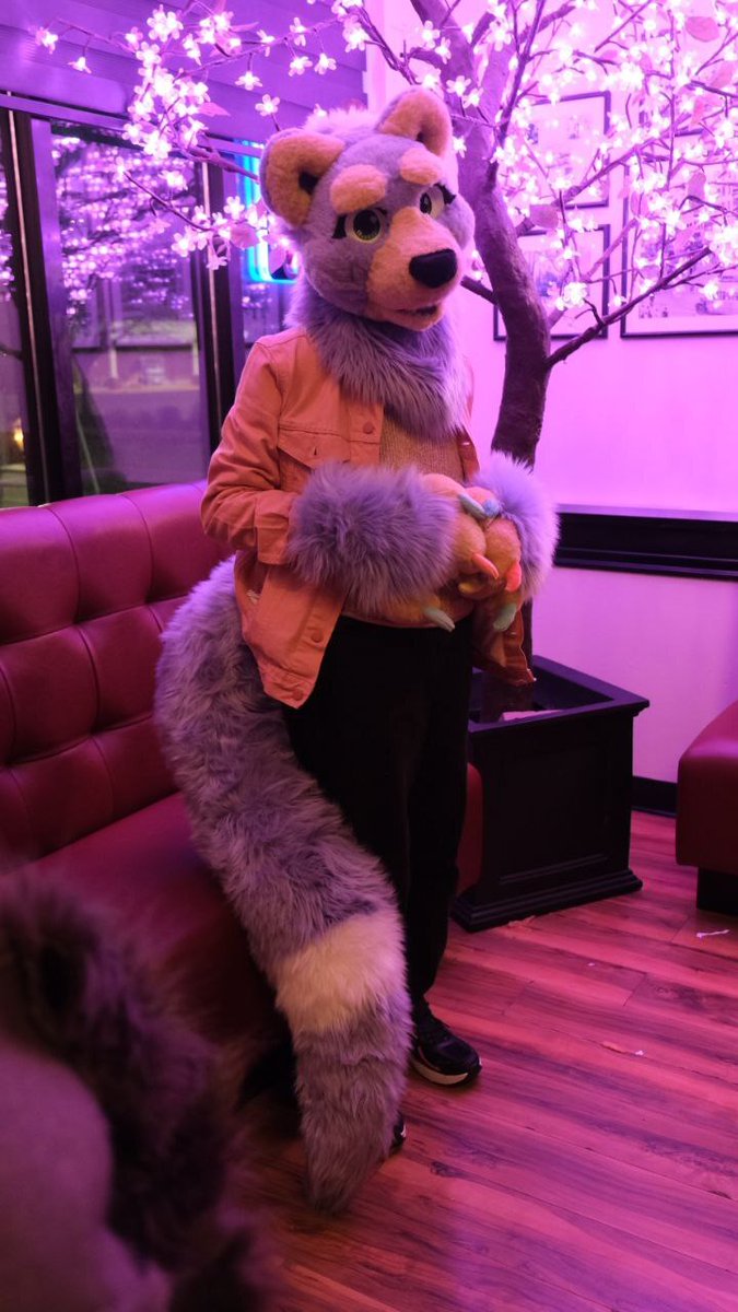 SorceryDeer's tweet photo. 🦦🌊🌌 Looking for an affordable fursuit for sale? This is an otter fursuit with the head, two sets of hand paws, a large tail, oc rights, badge, and over 10 art pieces for $1000 + ship! She's in great shape and fits 23" heads. DM me here or on Telegram @ SorceryDeer! 🌌🌊🦦 https://t.co/y3QdJwO3Fq