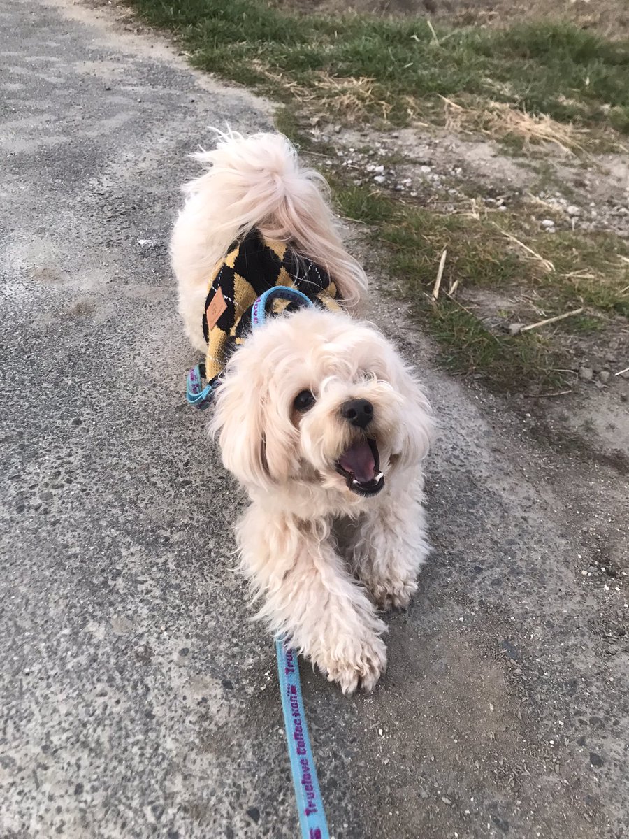 coco (@coco_n) / Posts / X