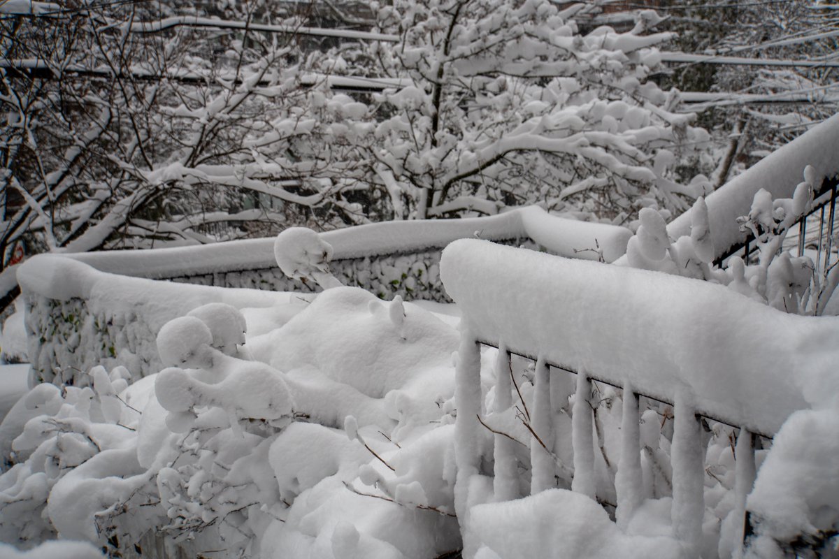 Rachel Luxemburg tweet media