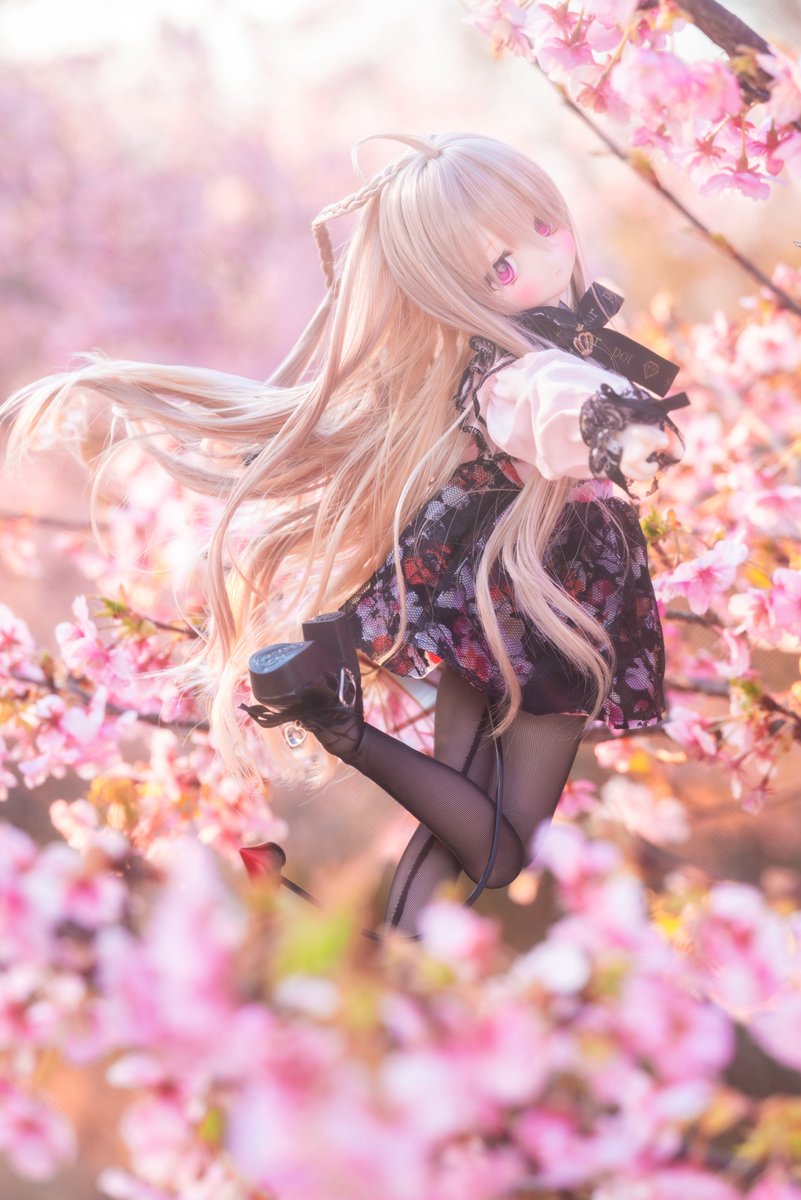 キミに降る春の始まりが
素敵な思い出となりますように✨🫶🌸

ホムラ『変なヤツだな👿なんでお前は悪魔のオレに優しくするんだ❓👿胸の辺りがモヤモヤするぞ👿』

#ほかぽ姫
#しゅがぽ服
#MDDはいいぞ