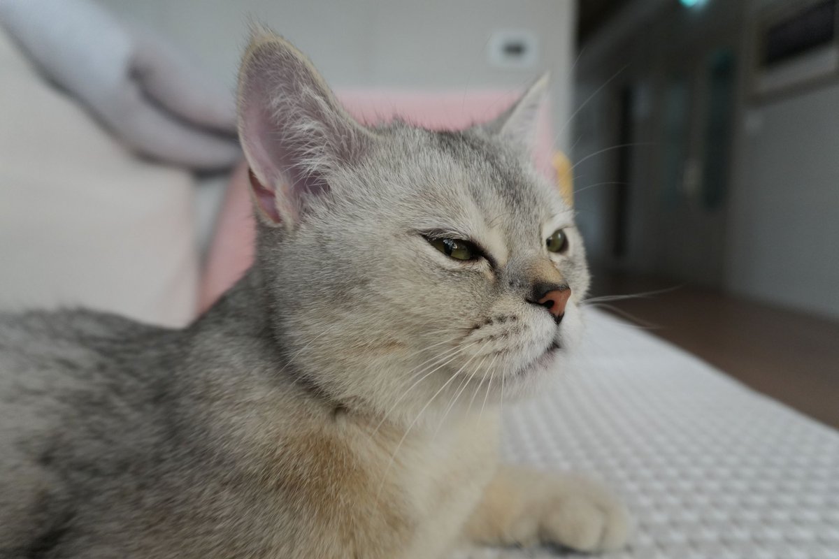 Martin Sketchley tweet media