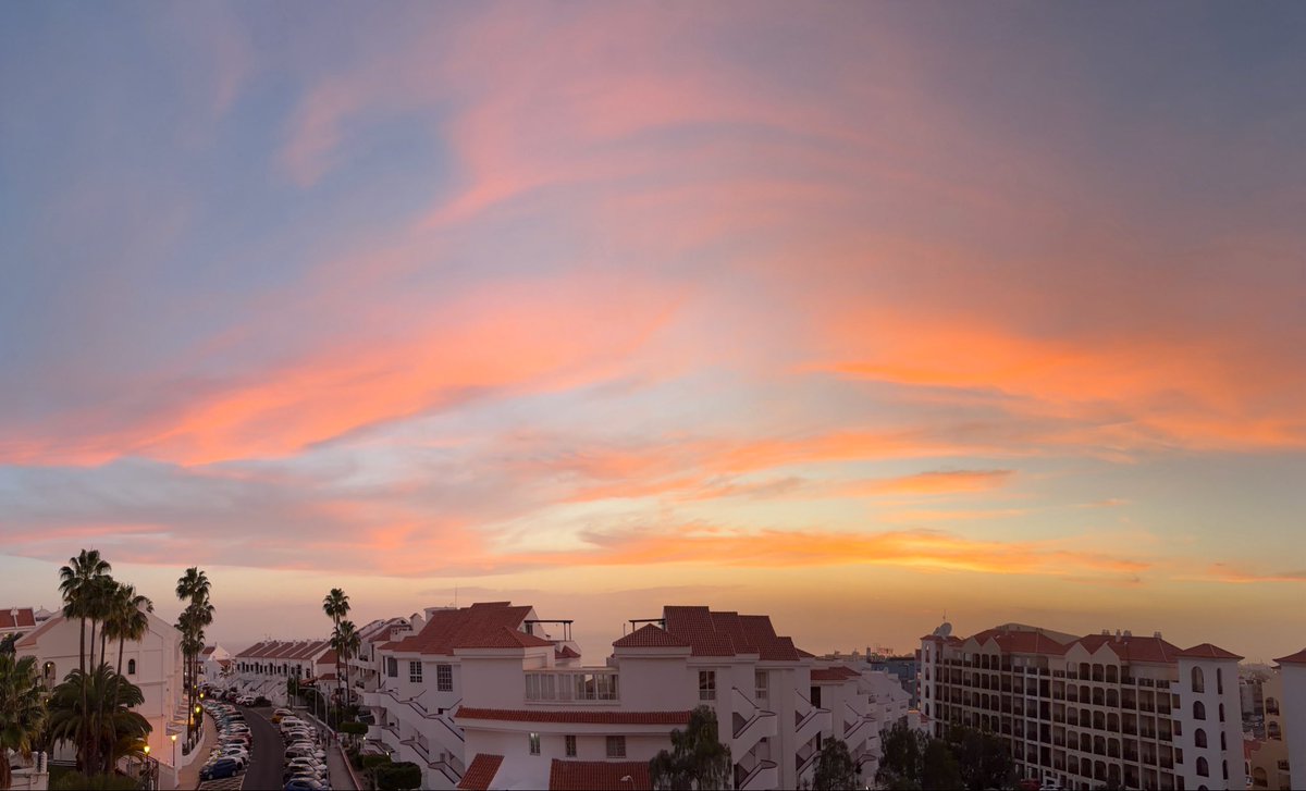 Gerard Sheehy tweet media