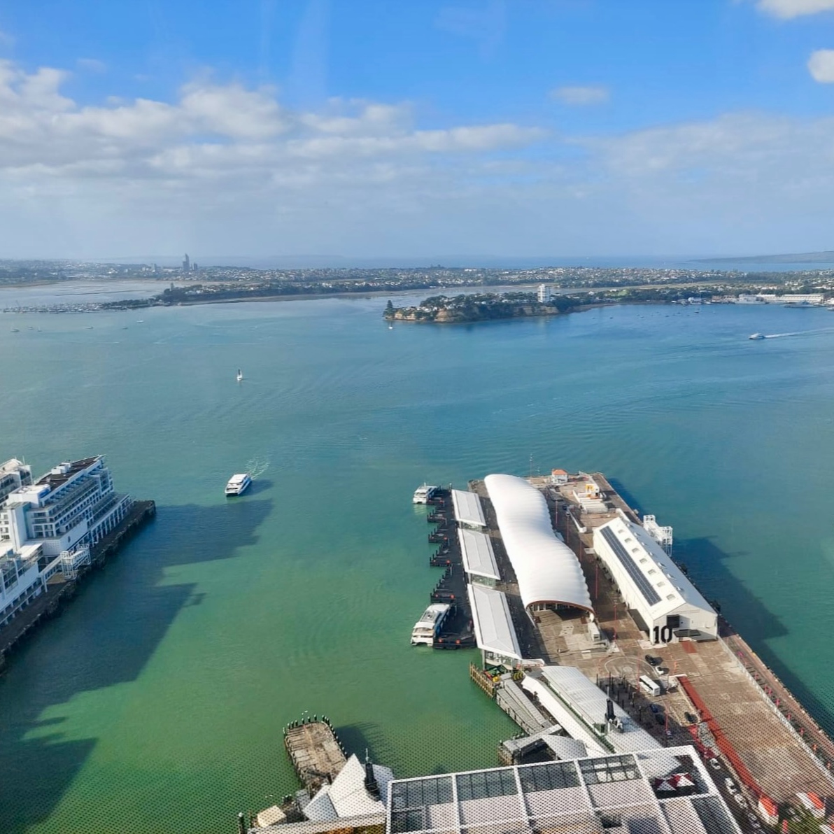 Lawrence Meredith 🇪🇺 tweet media