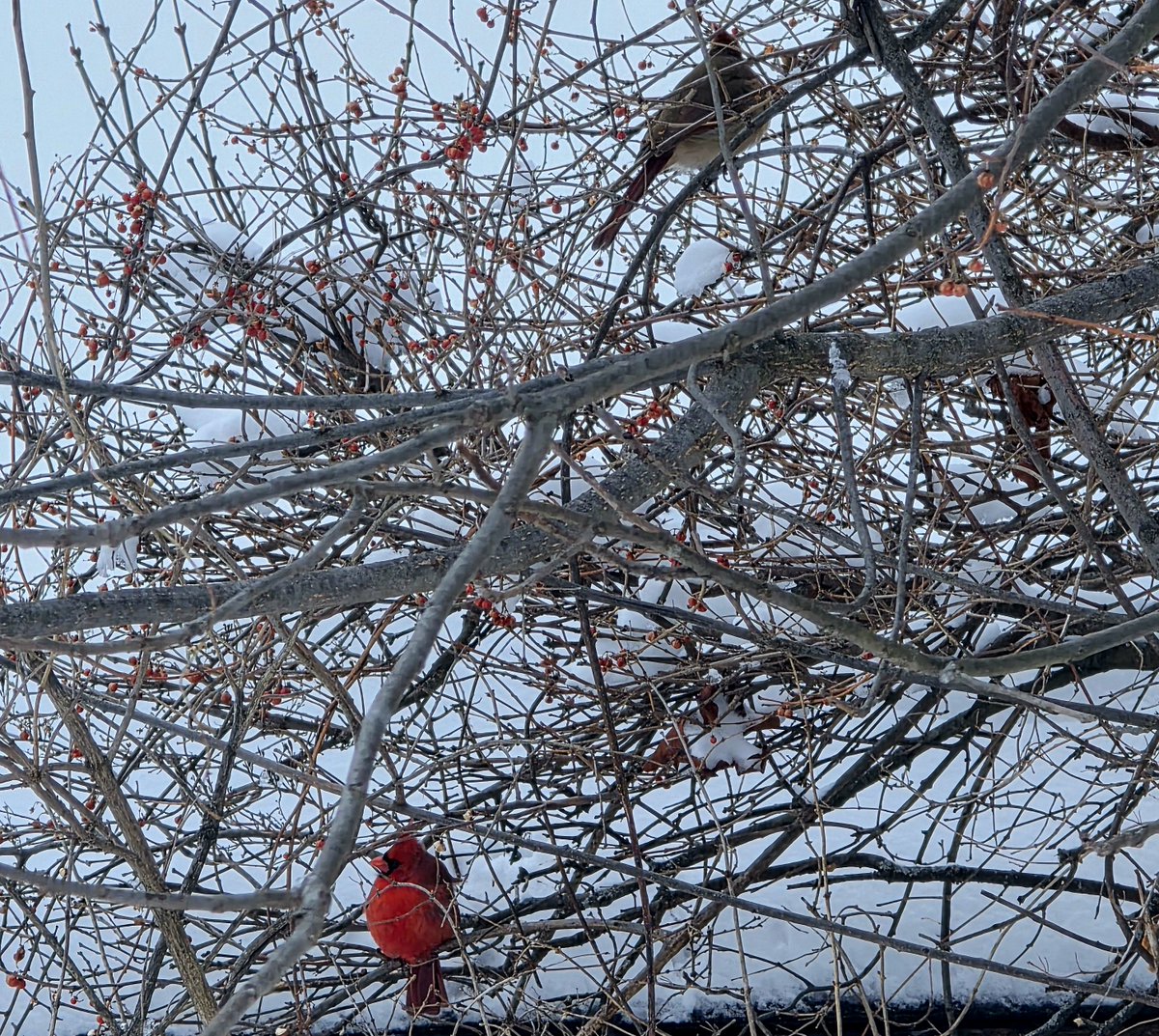 Anthony Baldi tweet media