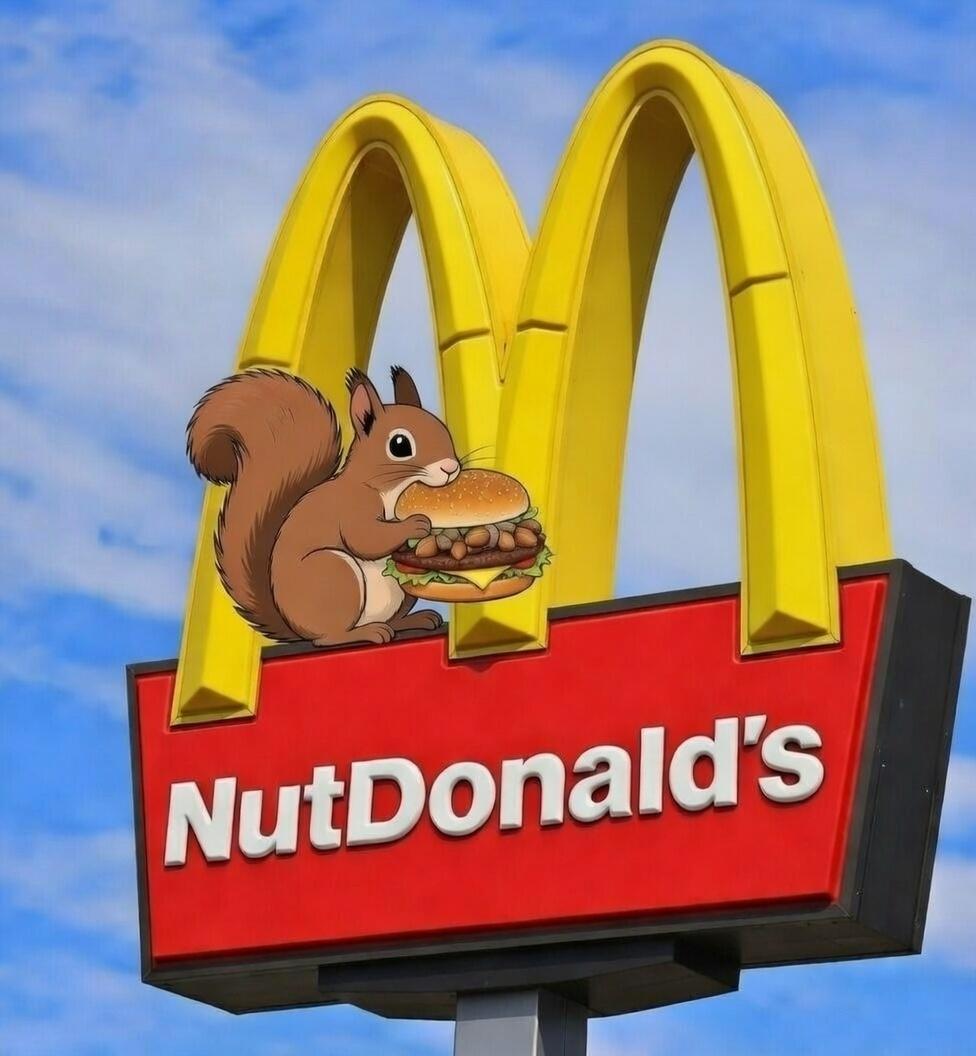 Lil Nut (@lil_nut__) / Posts / X