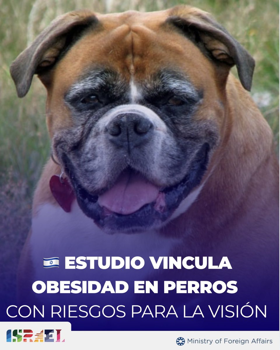 Israel en Uruguay tweet media