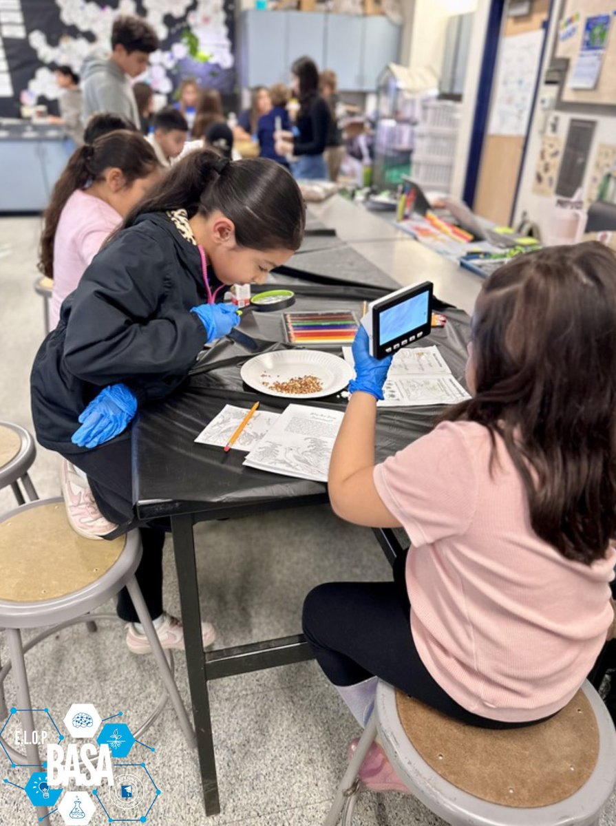 Burton Academy of Science and Agriculture tweet media