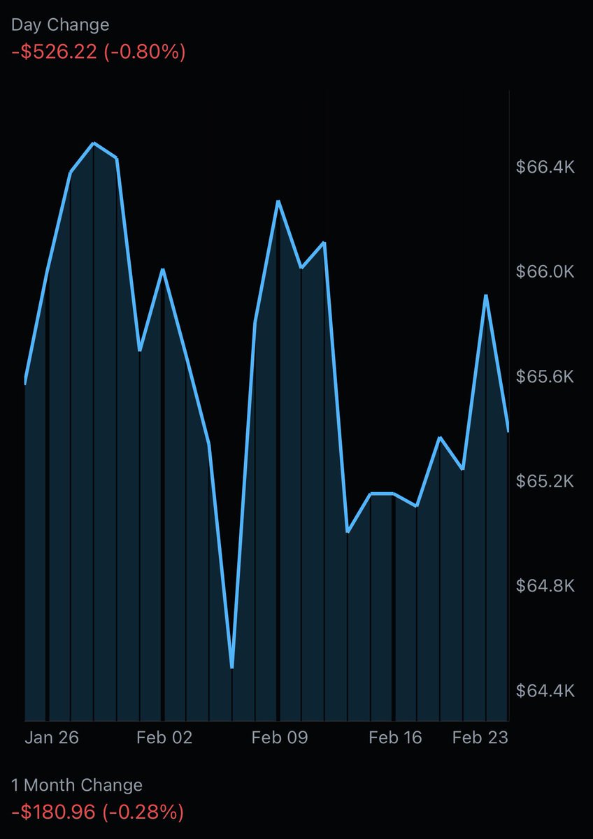 David Bauer tweet media