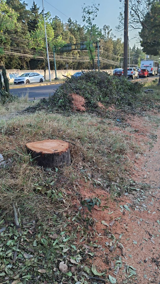 Manos X Puebla 🙌🏼 tweet media