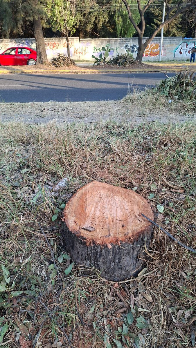 Manos X Puebla 🙌🏼 tweet media