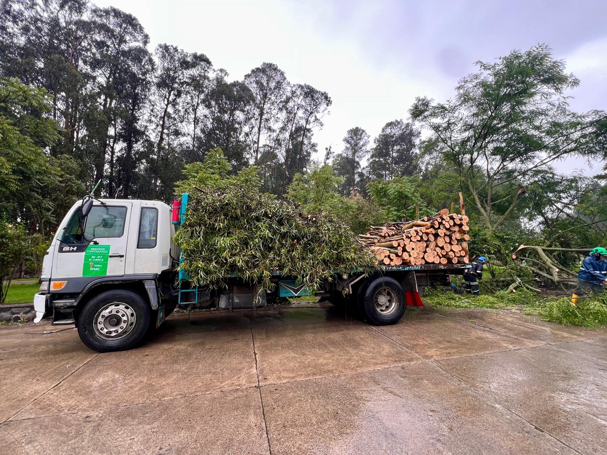 emac_ep's tweet photo. 🌳💪 ¡Seguimos trabajando por una ciudad más segura! 💪🌳

Tras las intensas lluvias registradas en nuestra ciudad, atendimos de manera inmediata el retiro de un árbol que cayó en la intersección de la Av. Tres de Noviembre y Frailejones. 🚧🌧️

Nuestro equipo actuó con rapidez y compromiso para despejar la vía, garantizar la seguridad de peatones y conductores, y restablecer el tránsito con normalidad. 👷‍♂️🚜

📍 Av. Tres de Noviembre y Frailejones

#AmorPorCuenca ❤️💛

@czamoramatute 
@MunicipioCuenca