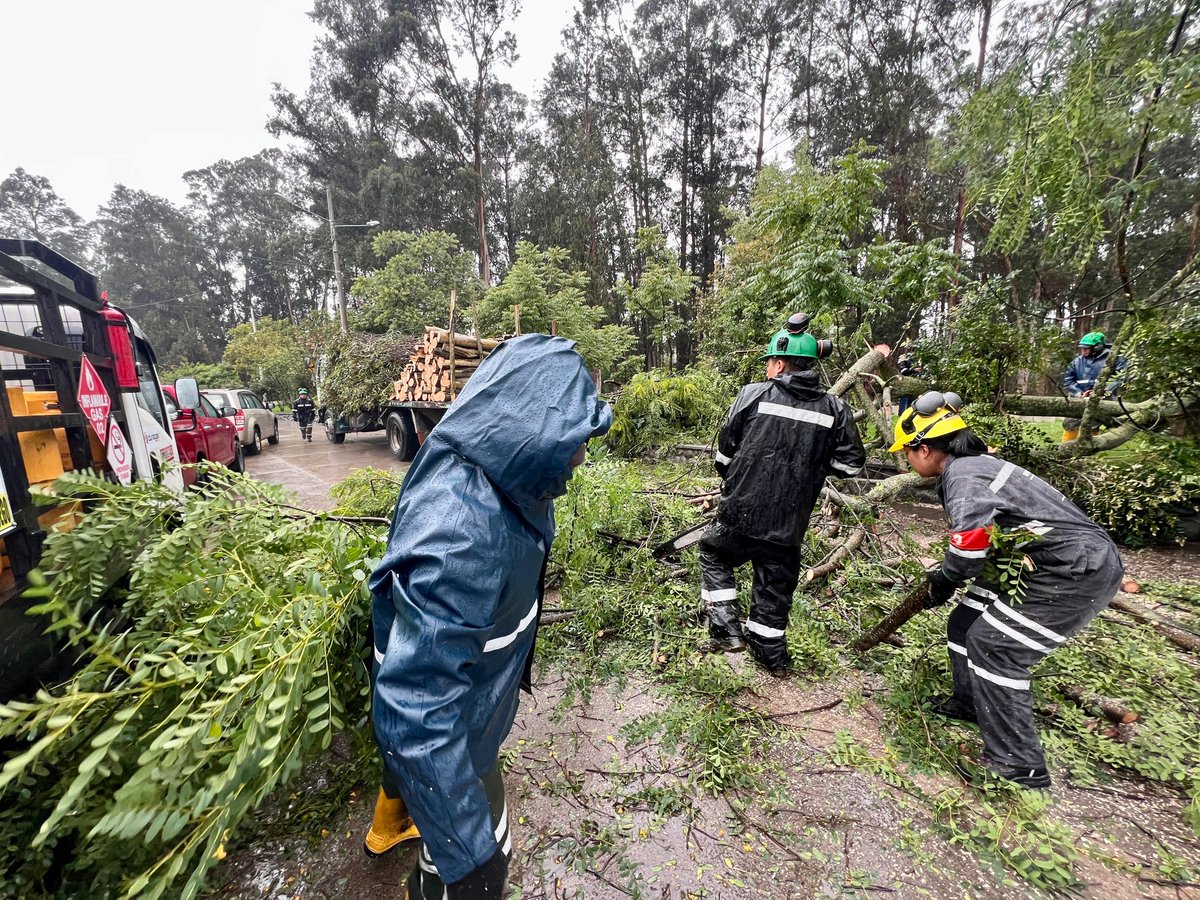 emac_ep's tweet photo. 🌳💪 ¡Seguimos trabajando por una ciudad más segura! 💪🌳

Tras las intensas lluvias registradas en nuestra ciudad, atendimos de manera inmediata el retiro de un árbol que cayó en la intersección de la Av. Tres de Noviembre y Frailejones. 🚧🌧️

Nuestro equipo actuó con rapidez y compromiso para despejar la vía, garantizar la seguridad de peatones y conductores, y restablecer el tránsito con normalidad. 👷‍♂️🚜

📍 Av. Tres de Noviembre y Frailejones

#AmorPorCuenca ❤️💛

@czamoramatute 
@MunicipioCuenca