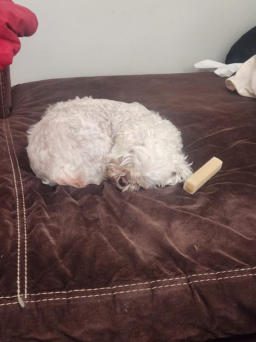 Jdshadow tweet media