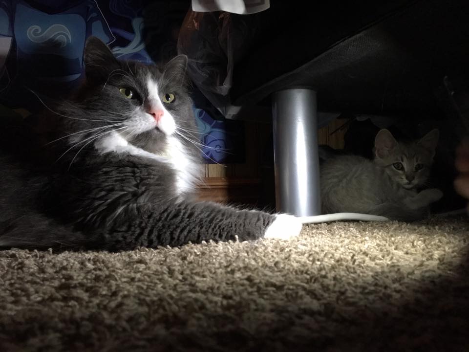 skylar ™️ tweet media