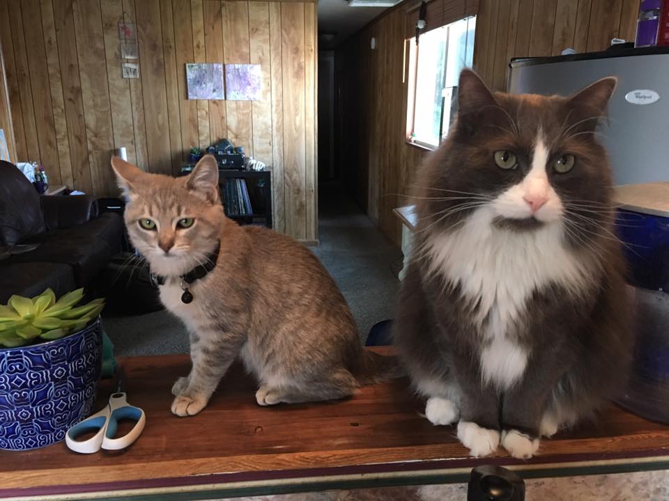 skylar ™️ tweet media