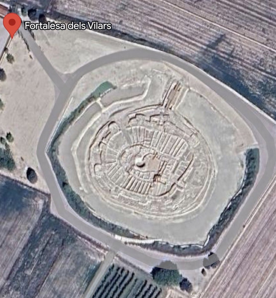 Alex 😋🐌 tweet media