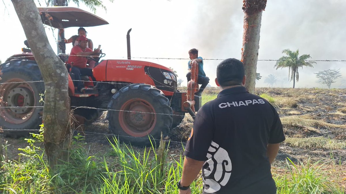 pcivilchiapas's tweet image. ¡Cero tolerancia al uso irresponsable del fuego!
Como parte de la estrategia estatal “Por un Chiapas sin Incendios”, elementos de Protección Civil Municipal de #Reforma, la Delegación Regional y Seguridad Pública reforzaron la vigilancia en las localidades:
📍 Morelos
📍 Zapotal