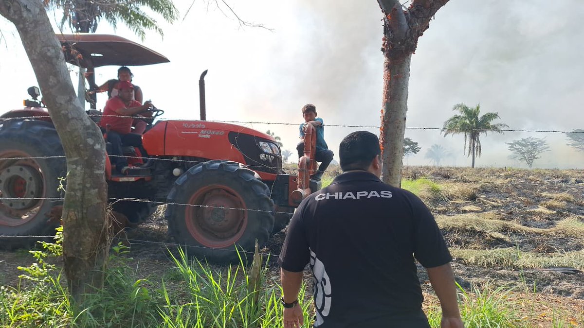 pcivilchiapas's tweet image. ¡Cero tolerancia al uso irresponsable del fuego!
Como parte de la estrategia estatal “Por un Chiapas sin Incendios”, elementos de Protección Civil Municipal de #Reforma, la Delegación Regional y Seguridad Pública reforzaron la vigilancia en las localidades:
📍 Morelos
📍 Zapotal