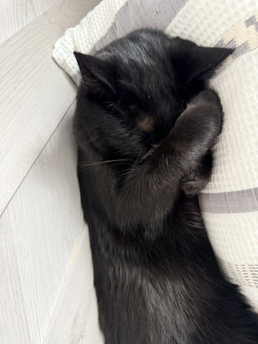 Eleanor Terrett tweet media