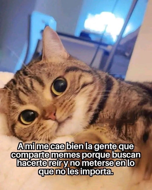 Fabiolacarolina (@fabiolacar49087) on Twitter photo 