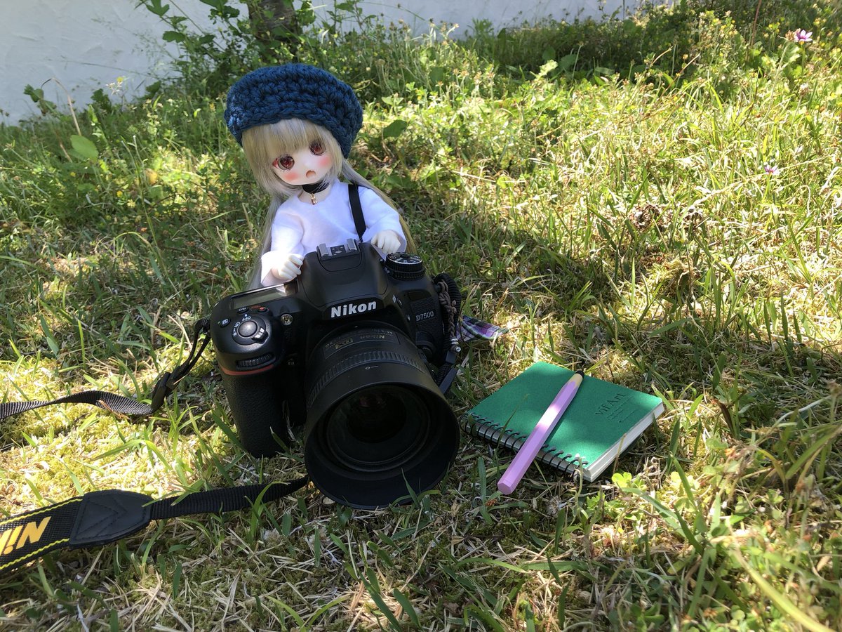 おはぁ〜…📷ｶｼｬｯ #おはドル