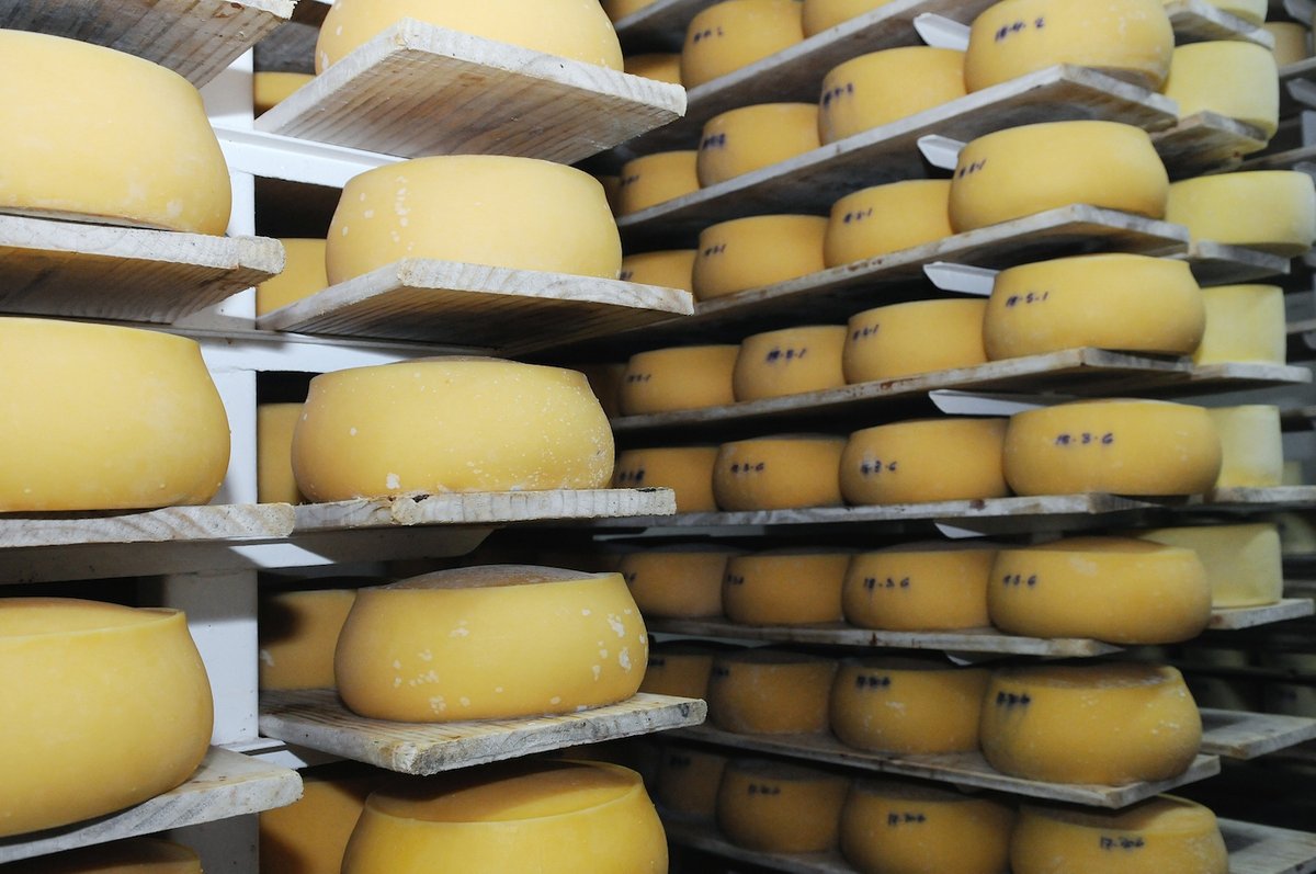 Informativo Carve tweet media