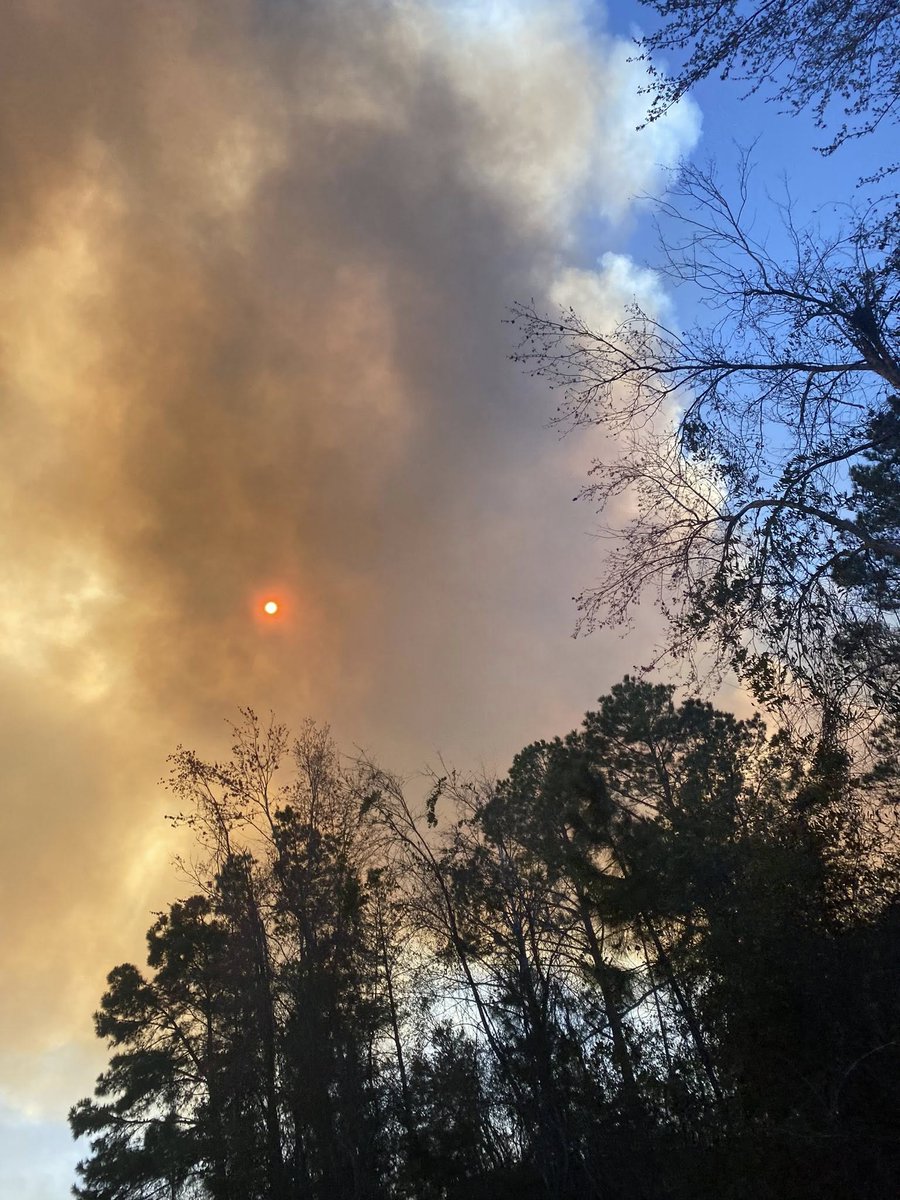 GAForestryCommission tweet media