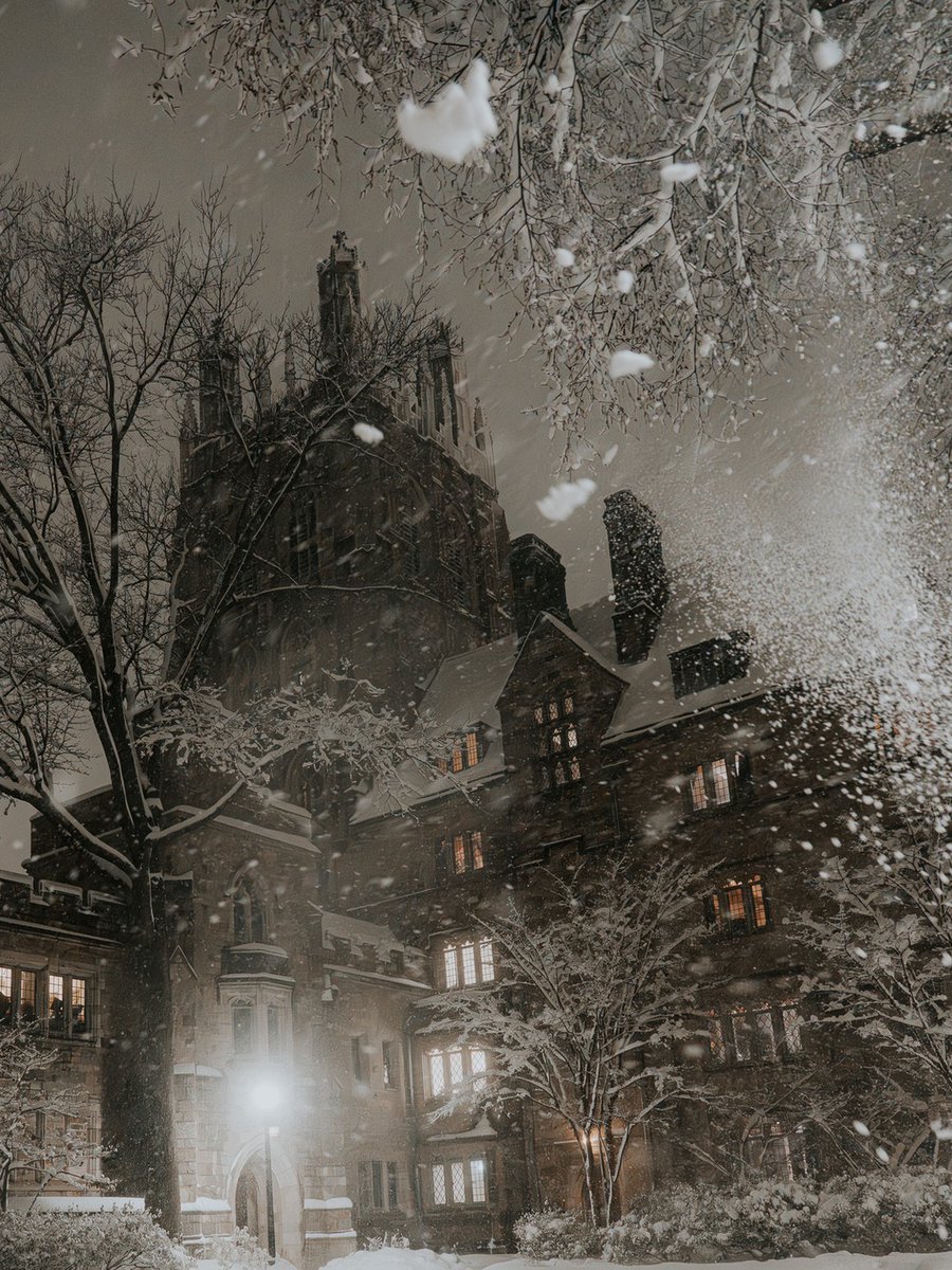 Yale University tweet media