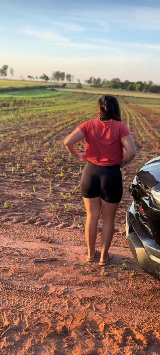 dan y edu tweet media